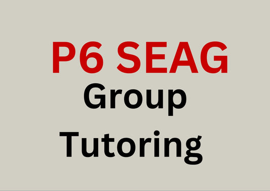 Primary 6 SEAG CLUB - Monday 6:30-7:30