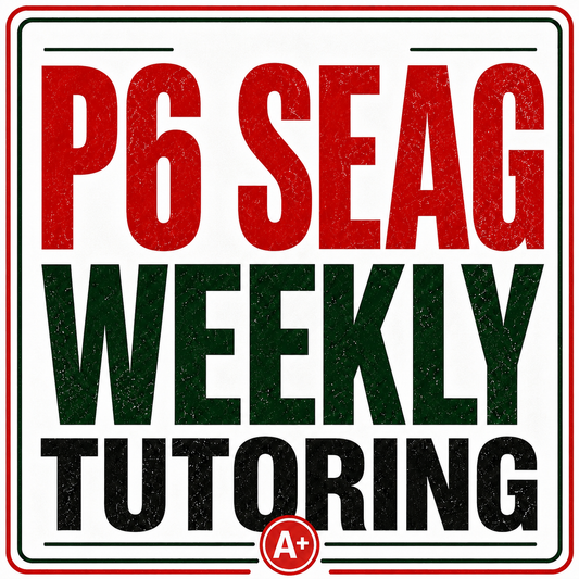 P6 SEAG Weekly Tutoring